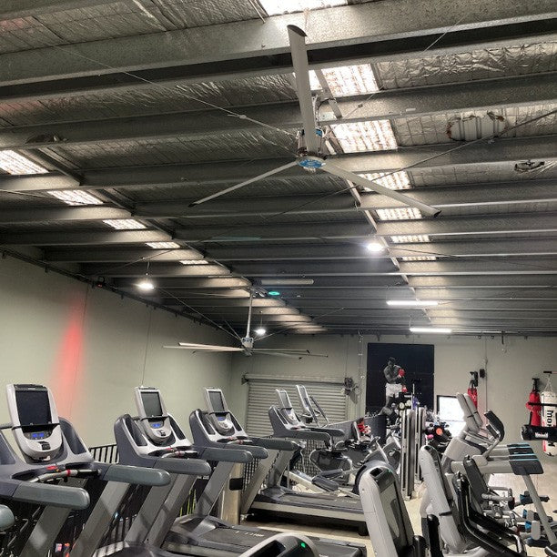 SkyBlade MiniProp 3 Blade HVLS Ceiling Fan