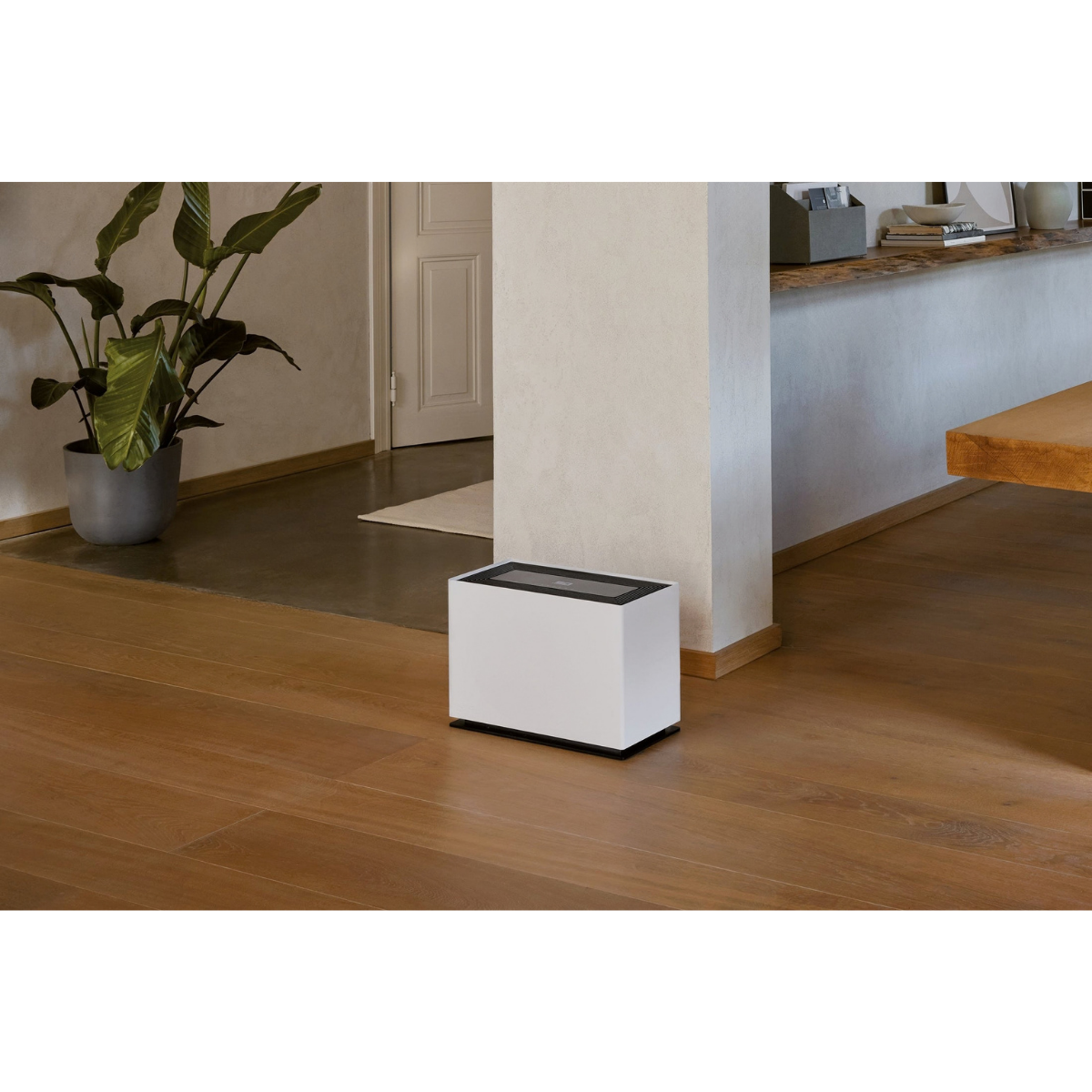 Stadler Form Noah Pro Smart Evaporative Humidifier - Lifestyle