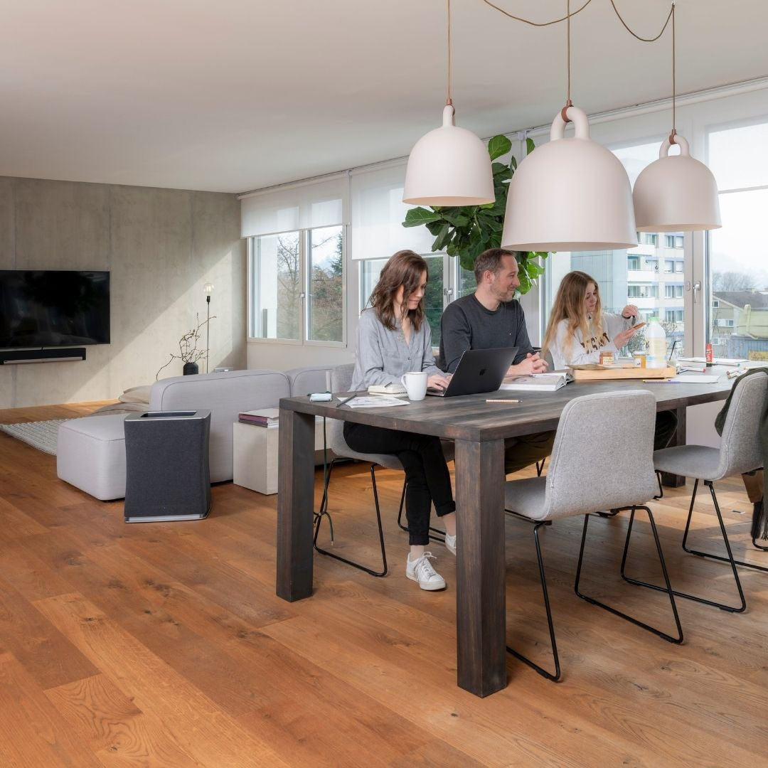 Stadler Form Roger Big HEPA Air Purifier