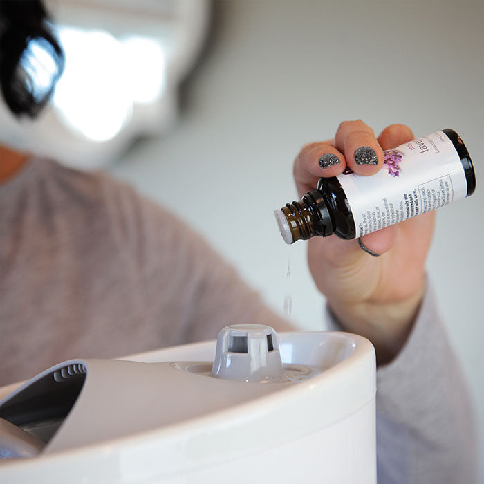 Steamfast SF-920 Warm Mist Aromatherapy Humidifier - Essential Oils