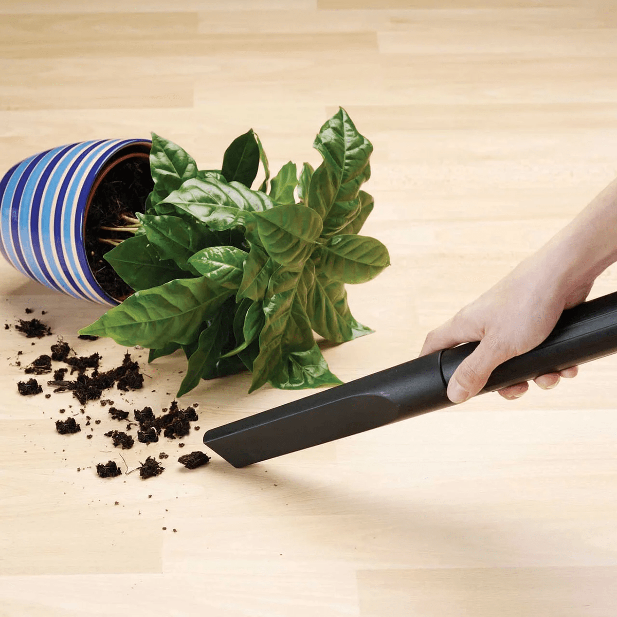 Vacmaster 2.5 Gallon Portable Wet/Dry Vacuum - Lifestyle 1