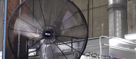5 Things to Consider When Buying a Wall Mount Fan (2025)