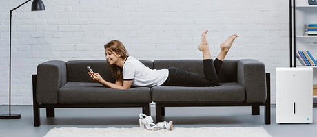 5 Things to Consider When Buying a Dehumidifier (2026)