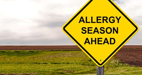 Prepare for Allergy Season