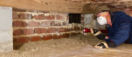 Best Crawl Space Dehumidifiers of 2026