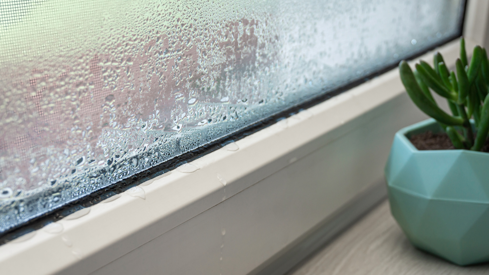 Condensation on Windows: Causes, Fixes, and How to Prevent It