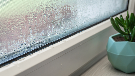 Condensation on Windows: Causes, Fixes, and How to Prevent It