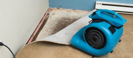 Water Damage Restoration Fan Buying Guide
