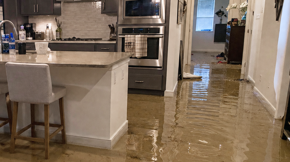 I Just Had a Flood: What Should I Do in the First 24 Hours?