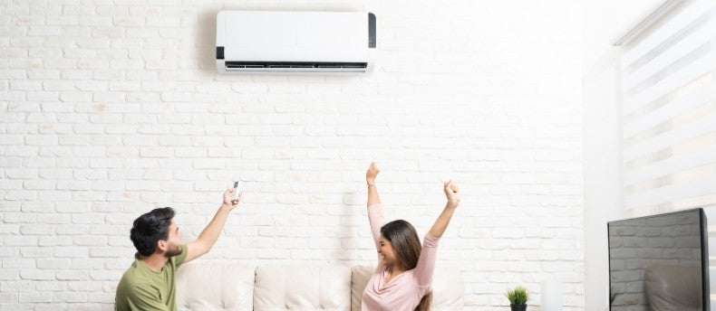 Why Are Mini-Split Systems So Popular?