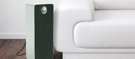Best Air Purifiers of 2025 Under $100