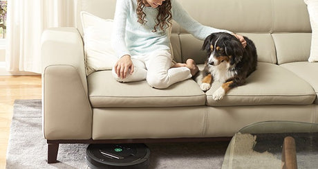 Best Products for Pet Allergies