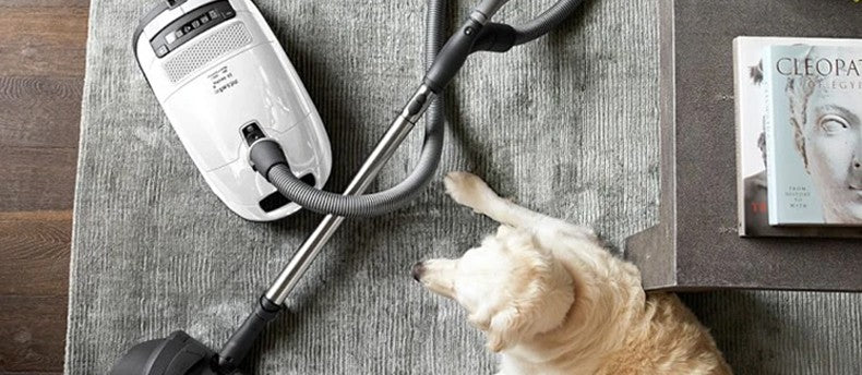 Best Vacuums for Pet Hair (2025) (Based on Customer Feedback)