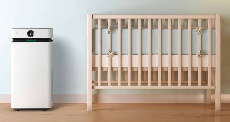 Best Quiet Air Purifiers for 2026 (Based on Customer Feedback)