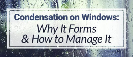 Condensation Conundrum: Simple Solutions for a Dry, Mold-Free Home