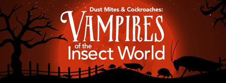 Dust Mites & Cockroaches: Vampires of the Insect World
