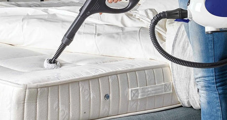 Best Steam Cleaners to Eliminate Bed Bugs (2025)