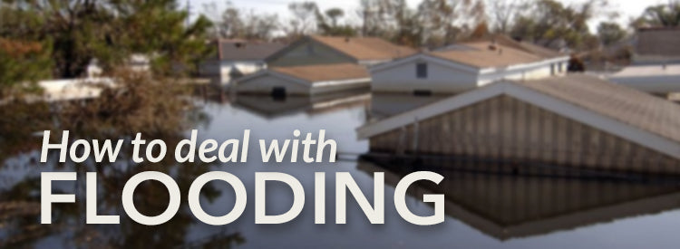 How to Deal with Flooding and Why Clean Up is Important
