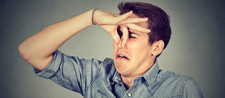 How to Fix a Musty Basement With a Dehumidifier