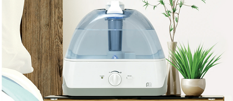 How to Clean Your Humidifier