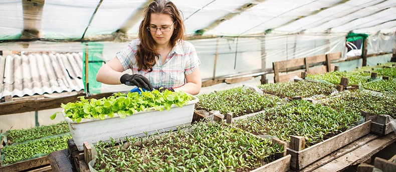 Indoor Growing and Ventilation: What You Need to Know | Sylvane