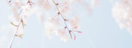 Sylvane's Top 10 Spring Cleaning Tips for 2025