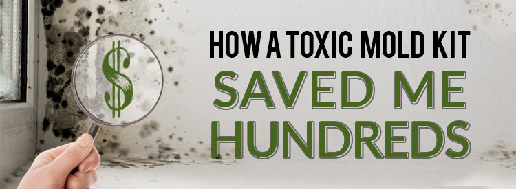 How a DIY Toxic Mold Test Kit Saved Me Hundreds of Dollars