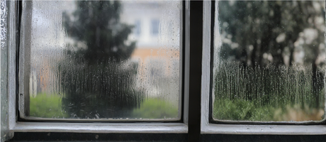 Why Is My House So Humid?