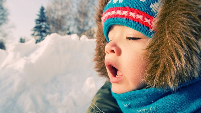Air Purifiers Help Relieve Winter Allergies