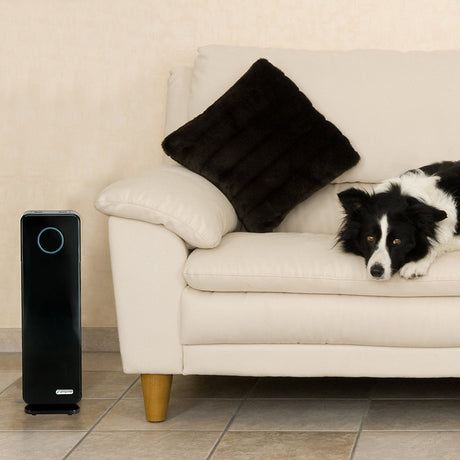 Pet Air Purifiers