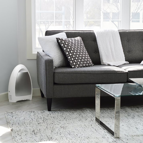 Touchless Vacuums for Pet Groomers, Hair Salons, and More