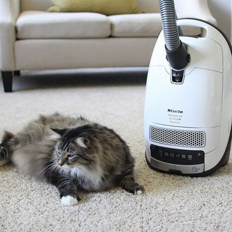Canister Vacuum Cleaners