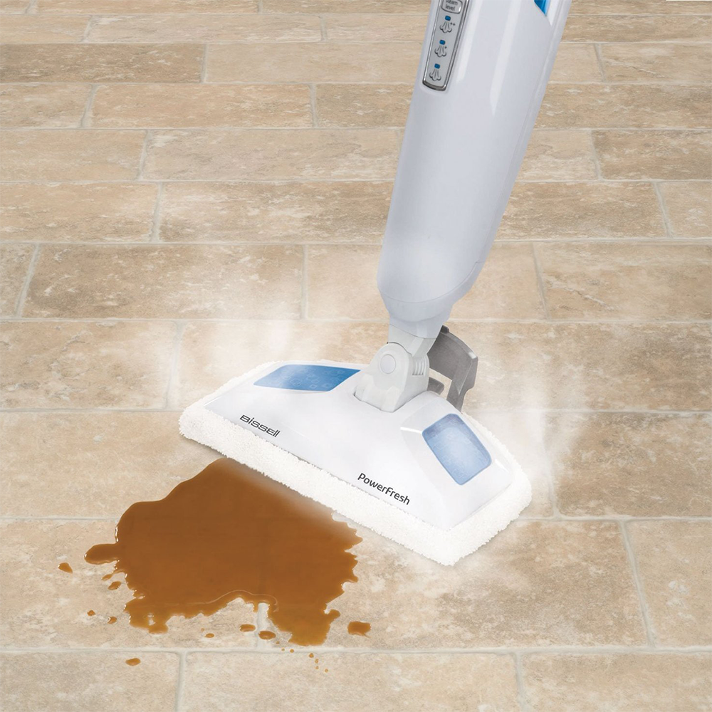 A digital image of a Ladybug Steam Cleaner in use.