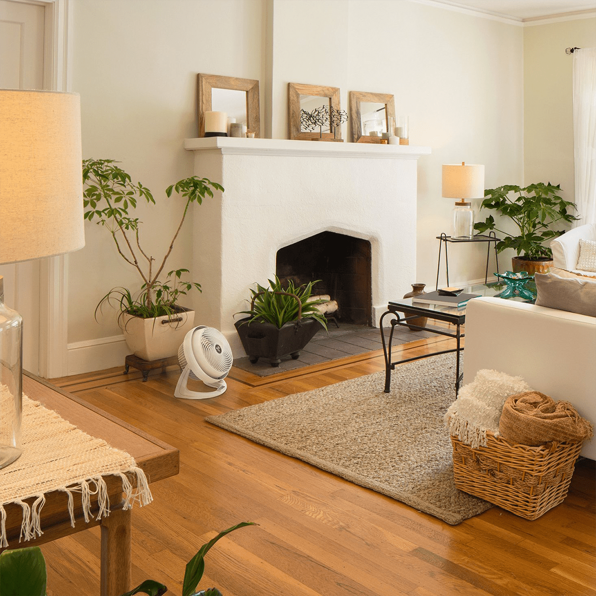 Free Standing Floor Fans