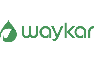 Waykar Dehumidifiers