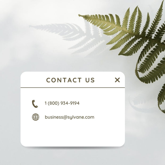 A minimalist contact card mockup with a white rounded rectangle and the heading 'CONTACT US,' shown on a soft light gray background with a green fern leaf shadow and leaf detail in the upper right.