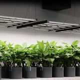 AC Infinity IONFRAME EVO Commercial LED Grow Light