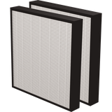 AeraMax PRO True HEPA 2-inch Filter - 2-Pack