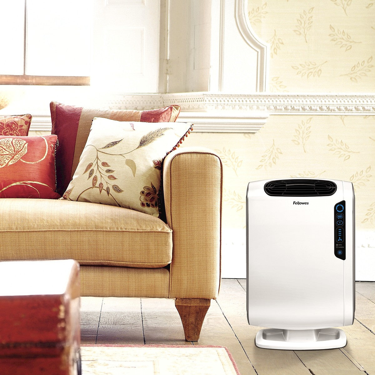 AeraMax DX55 HEPA Air Purifier – Sylvane