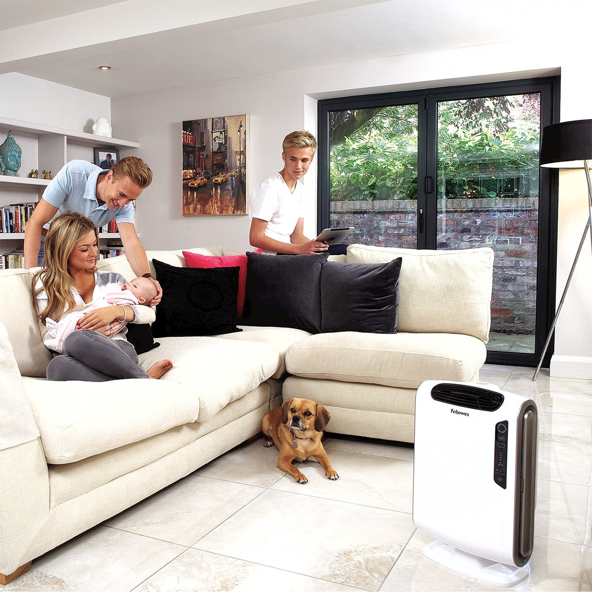AeraMax DX55 Air Purifier - in Family Room