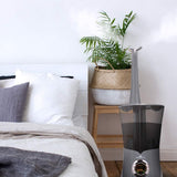 Air Innovations Cool Mist Ultrasonic Humidifier Platinum MH-801B-PLAT