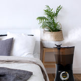 Air Innovations Cool Mist Digital Humidifier - Black - steaming in living room