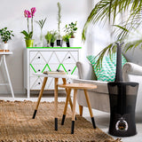 Air Innovations Cool Mist Ultrasonic Humidifier Black MH-801B-BLK