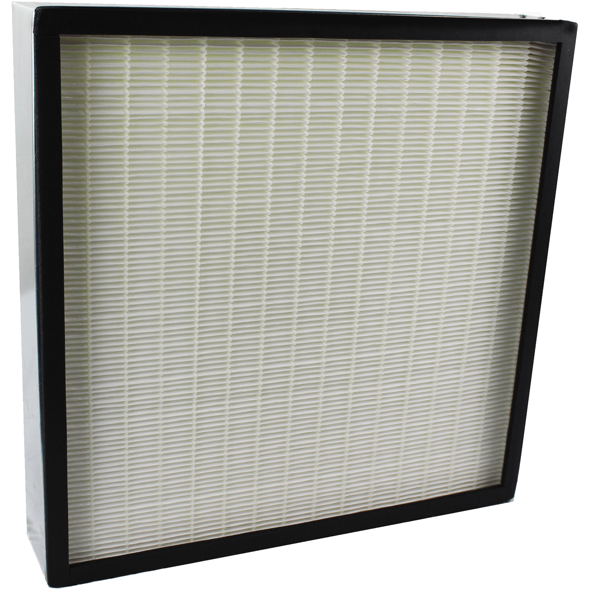 Airganics Replacement Air Filter
