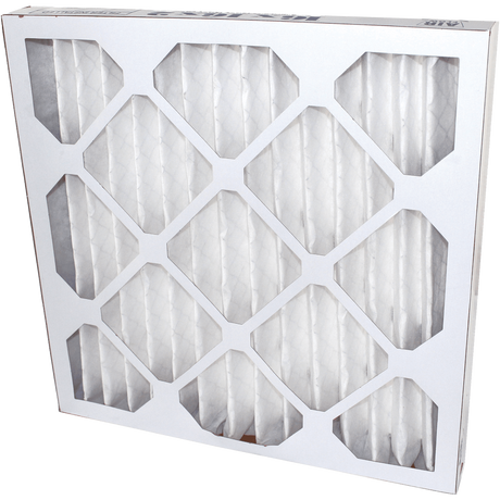 Airganics Replacement Filter - Main