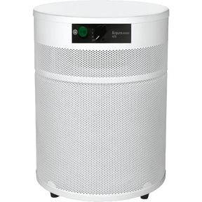 Airpura R400 All Purpose Everyday Compact Air Purifier - White