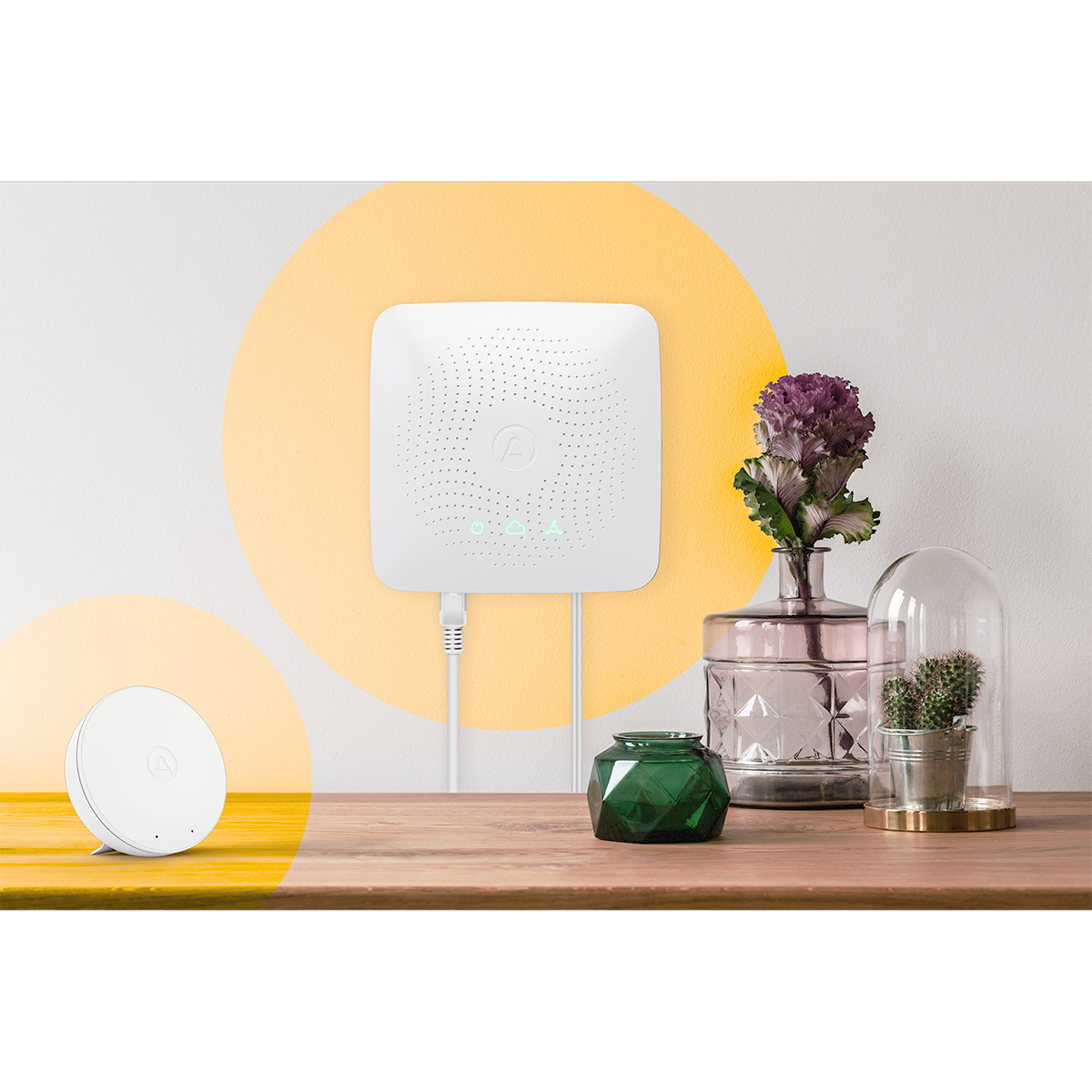 Airthings House Kit - Lifestyle 3