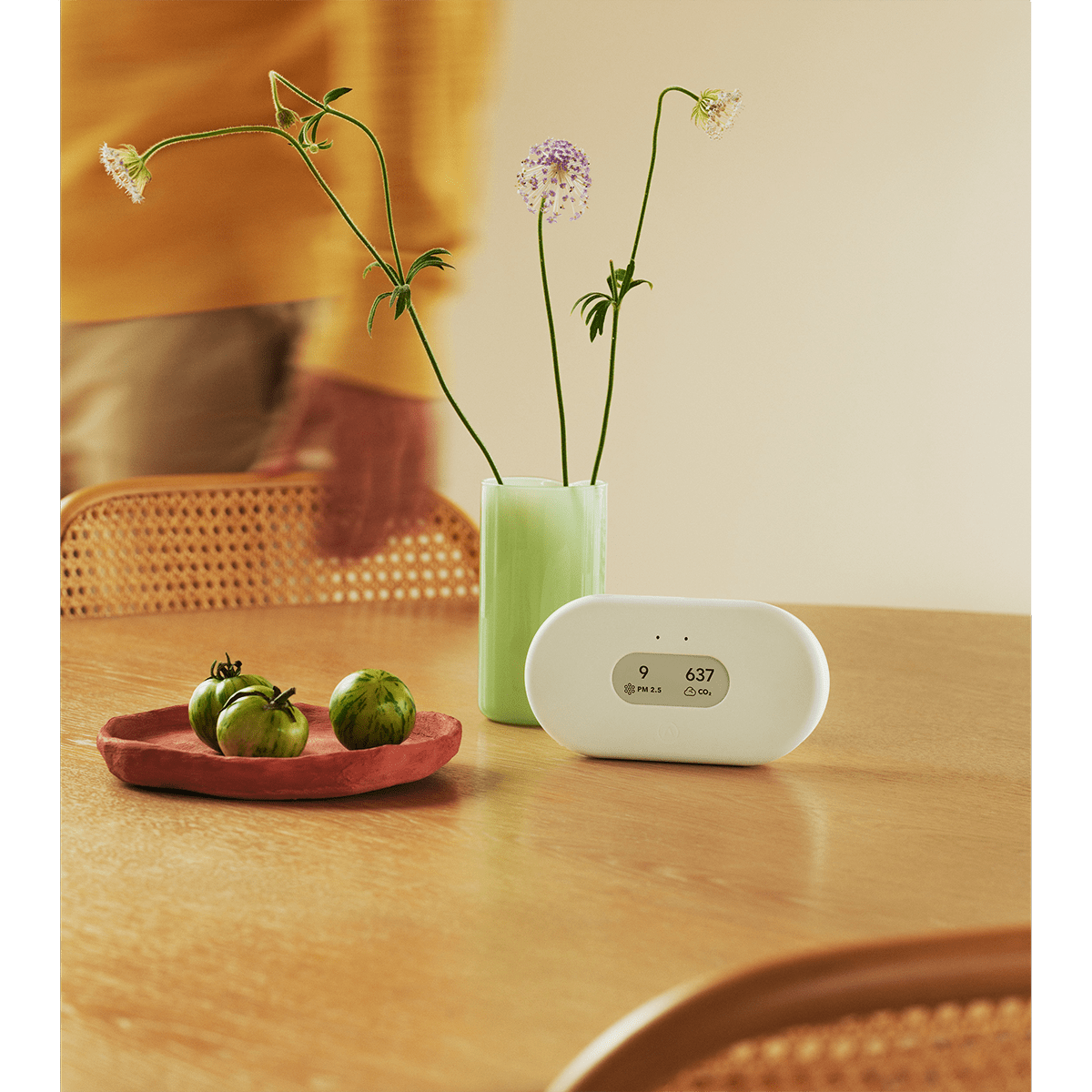Airthings View Plus Radon & Air Quality Monitor - Lifestyle 5