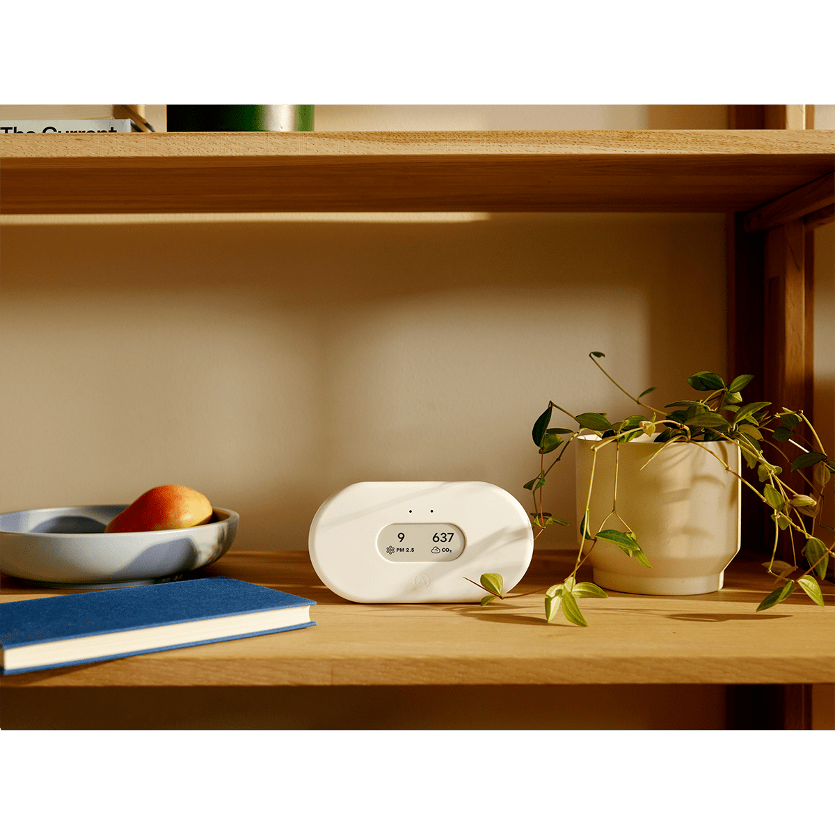 Airthings View Plus Radon & Air Quality Monitor - Lifestyle 6