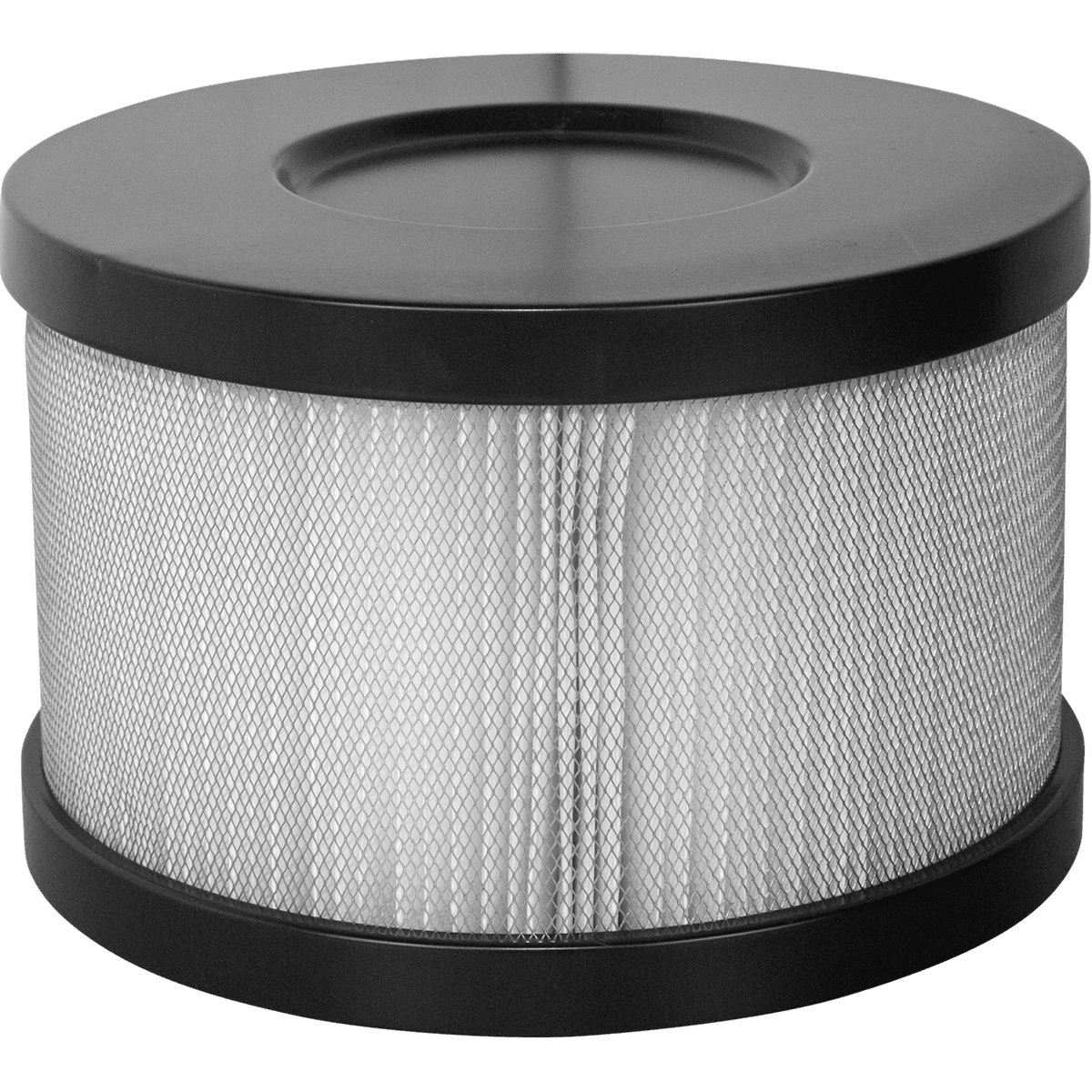 Amaircare Replacement HEPA Filter Snap On Cartridge for Roomaid - Slate
